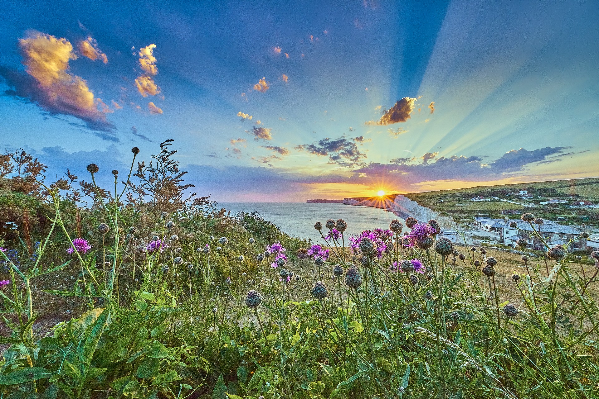 Read the Innovation example of the Sussex Hospices Stronger Together collaboration
