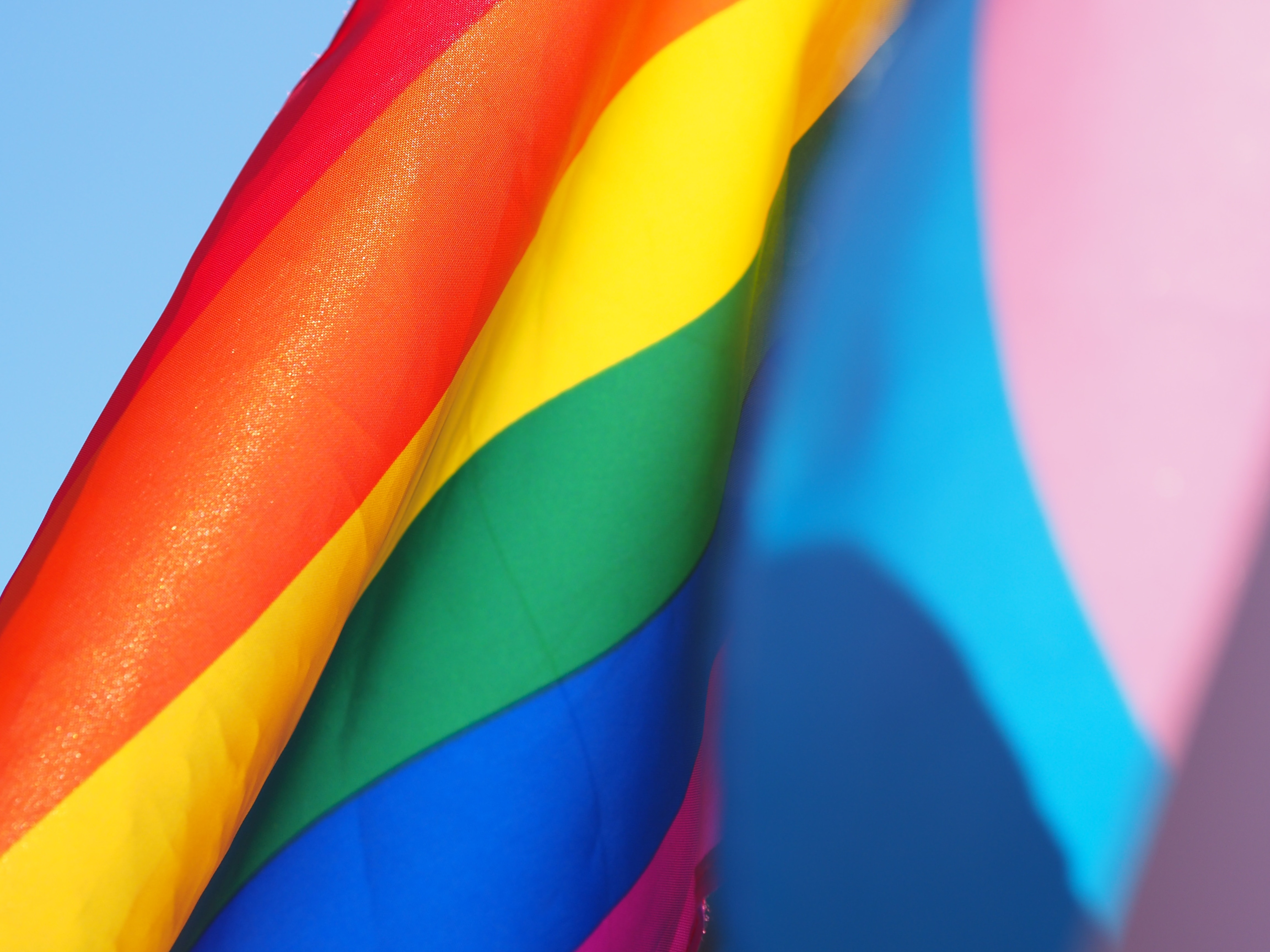 Developing an LGBTQ+ equality and inclusion culture