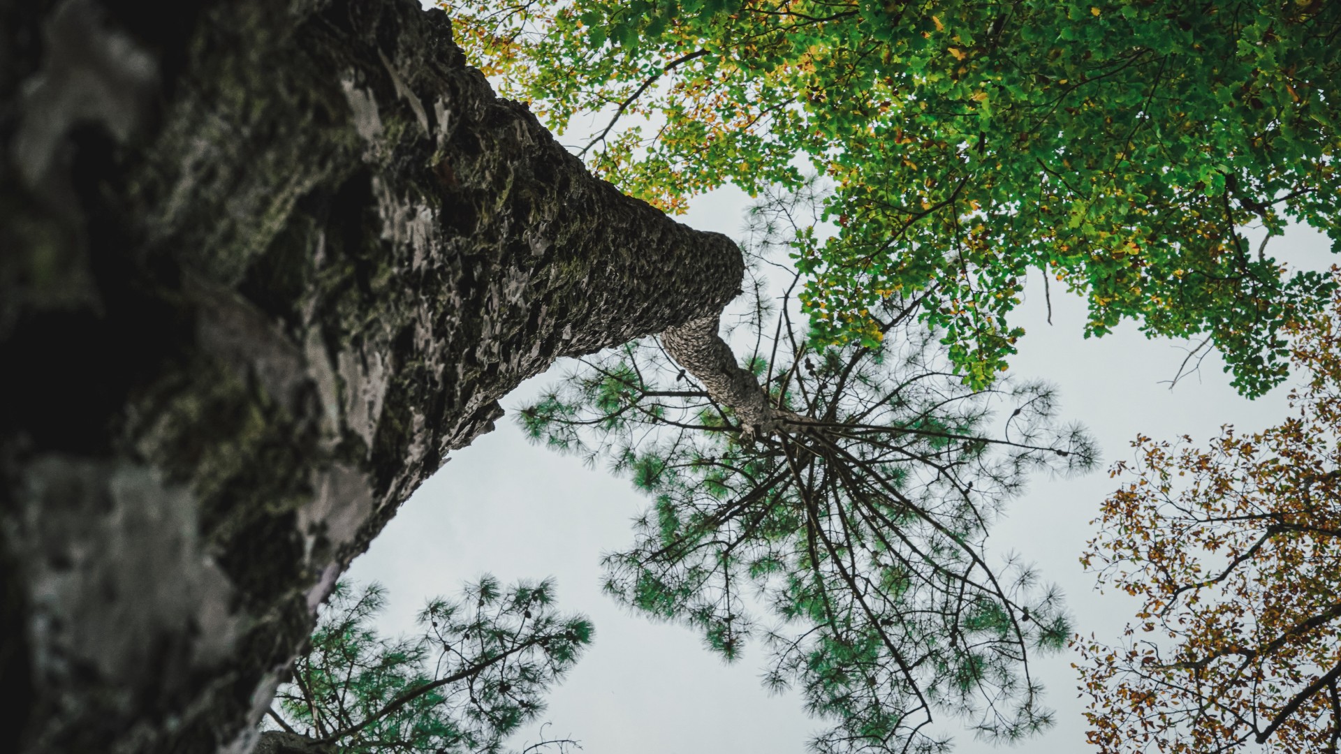 Getting started with environmental sustainability