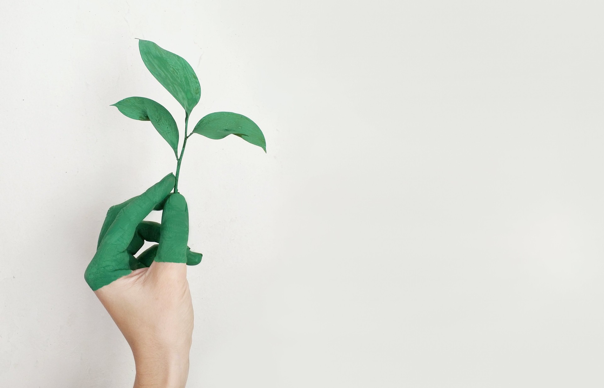 Green action plan 