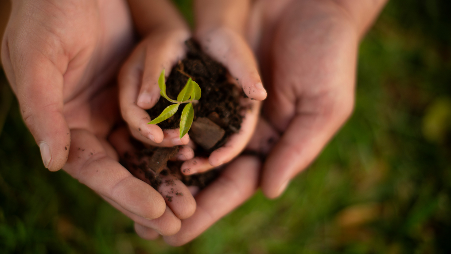 Shaping a better world