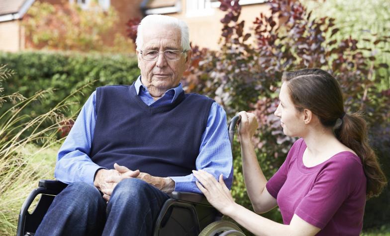Scottish social care