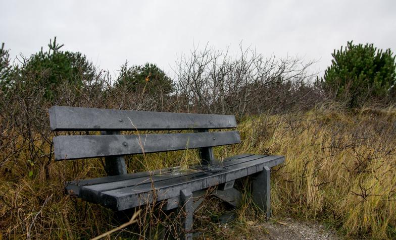 Bench