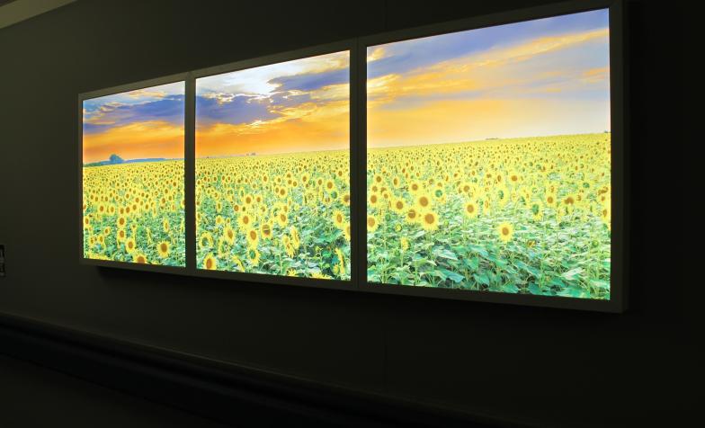 light boxes