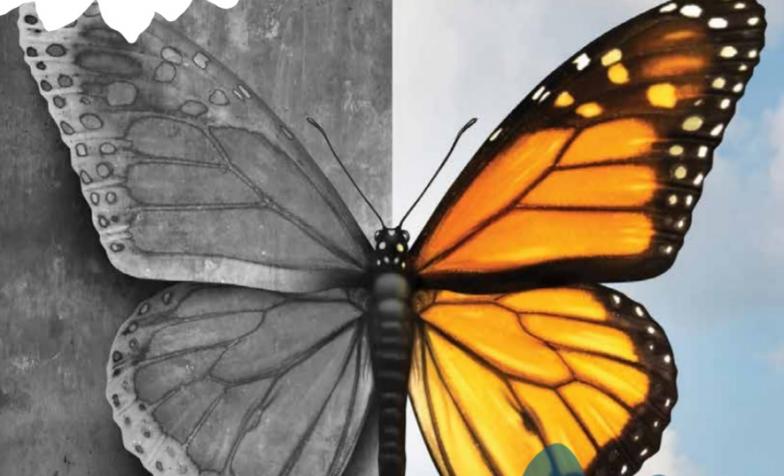 Butterfly inequalities