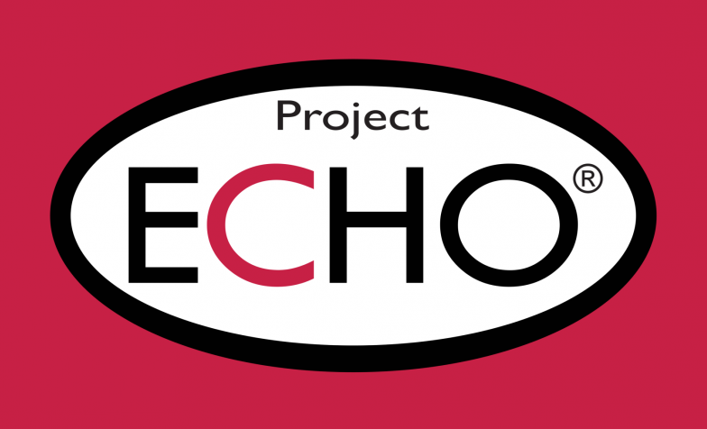 Project ECHO at Hospice UK is improving hospice and end of life care for healthcare professionals in the UK