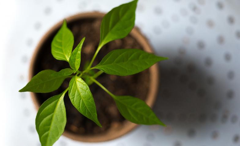 Join our Environmental Sustainability for Hospices Group to connect with and learn from other hospices