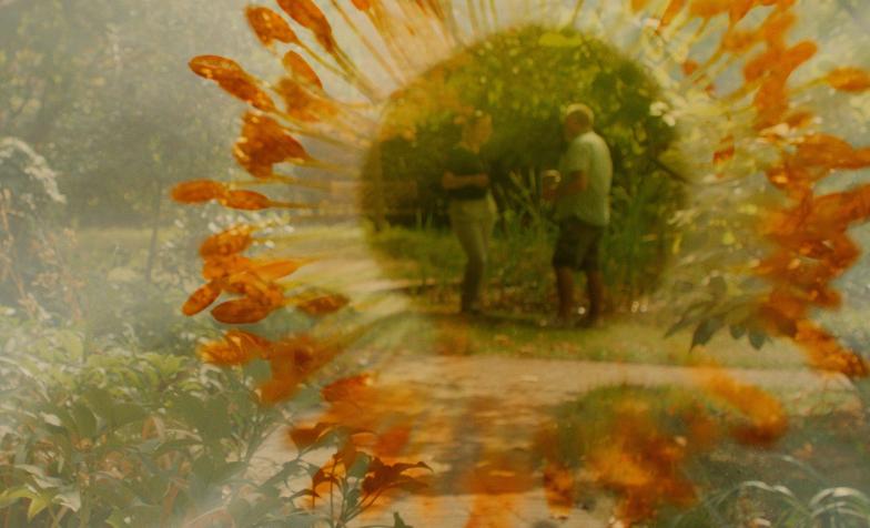 Find out how your hospice can play a part in promoting environmental sustainability through Hospice UK's networks, resources and research