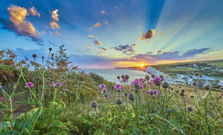 Read the Innovation example of the Sussex Hospices Stronger Together collaboration