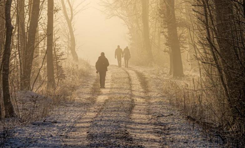 Explore ways to remember loved ones during the holiday season, dealing with grief, and stories of hospice workers putting others before themselves