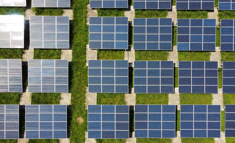Environmental sustainability: top tips
