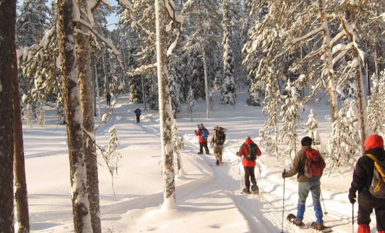 Arctic adventure image of snowshoeing in the forest