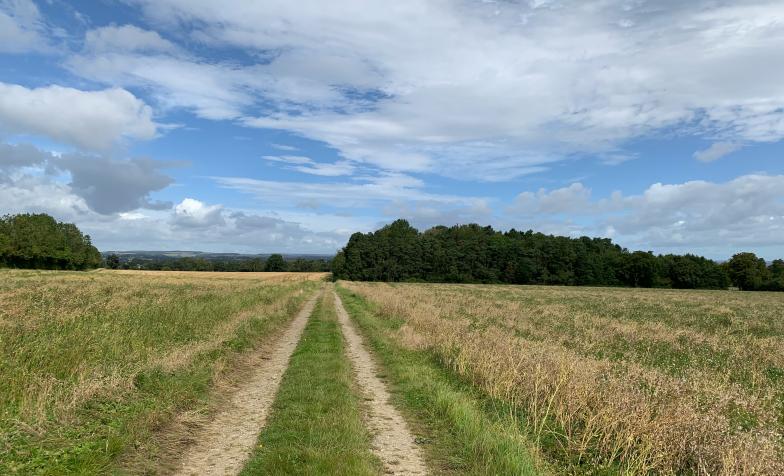 countryside