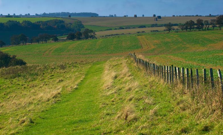 countryside