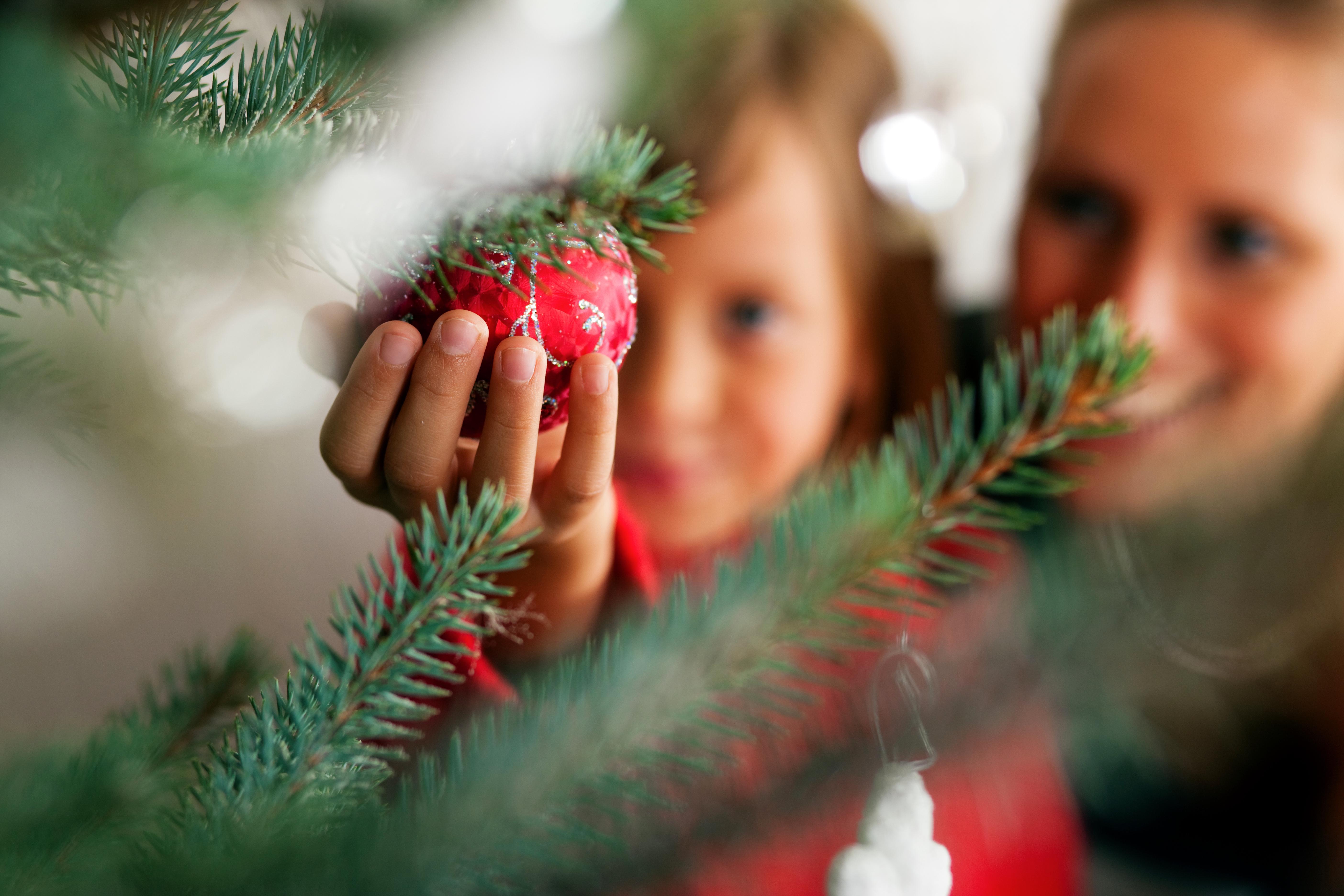 A Christmas tree with a red bauble hanging on it. A young person is reaching their hand out to cup the bauble and their is a older person behind them.