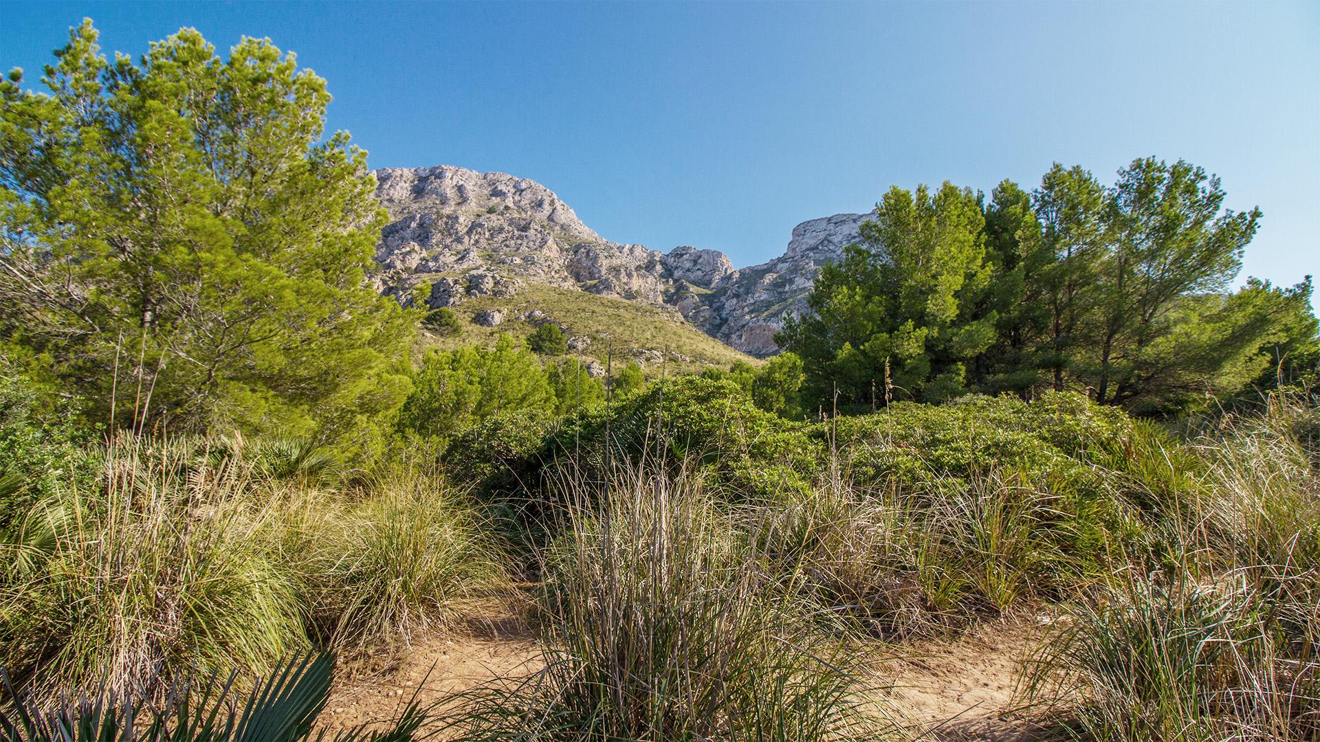 Tom Hoblyn's design for Garden of Compassion is inspired by Mallorca's Mediterranean landscape