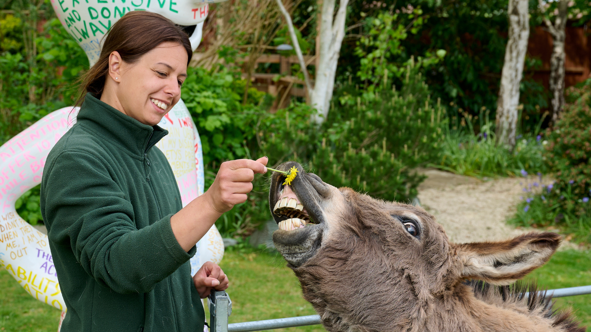hospice staff member hosting a family day