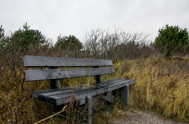Bench