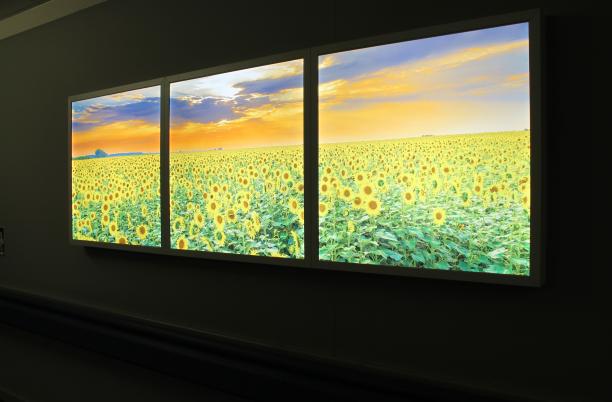 light boxes