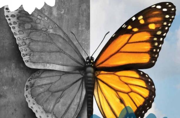 Butterfly inequalities