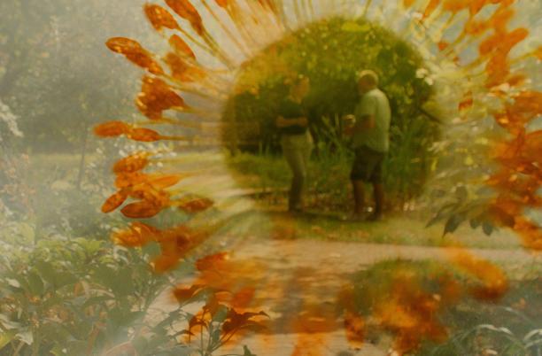 Find out how your hospice can play a part in promoting environmental sustainability through Hospice UK's networks, resources and research