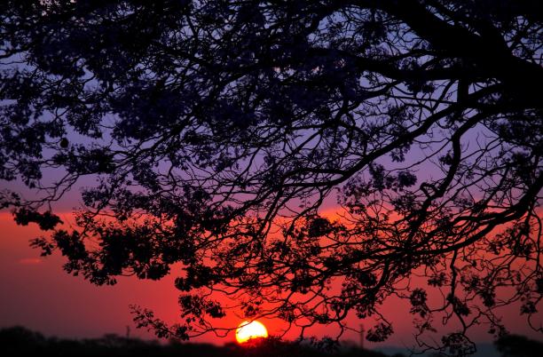 Sunset
