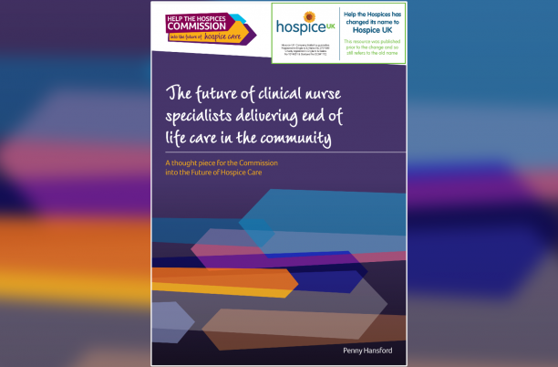 Front cover of the clinical nurse specialists report