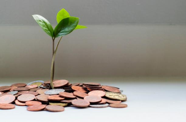 Need help finding ways to maximise your commercial income? Get tips and ideas from other hospices.