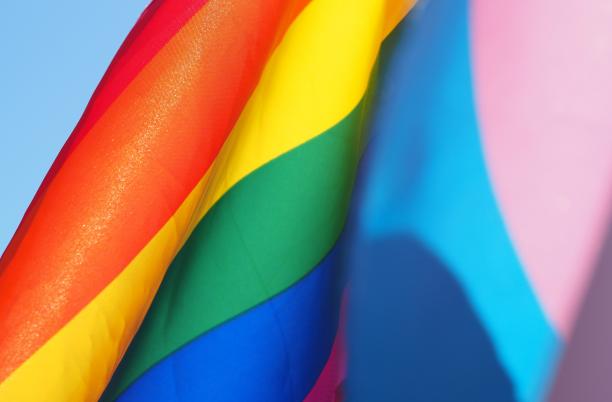 Developing an LGBTQ+ equality and inclusion culture