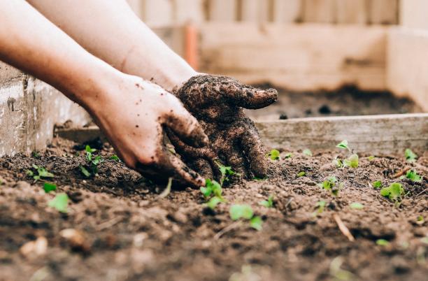 Learn how Martlets Hospice used gardening as a therapeutic bereavement service for men