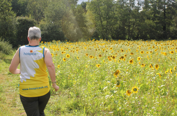 hospice uk runner in sunflower field