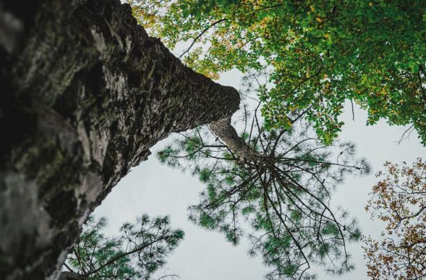 Getting started with environmental sustainability