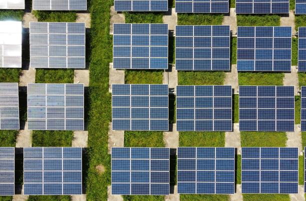 Environmental sustainability: top tips
