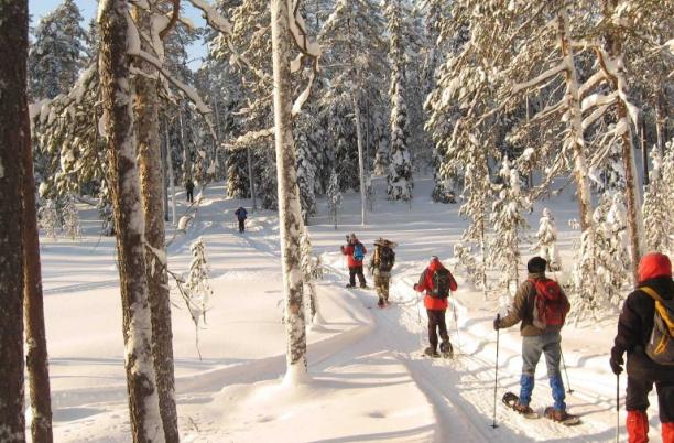 Arctic adventure image of snowshoeing in the forest