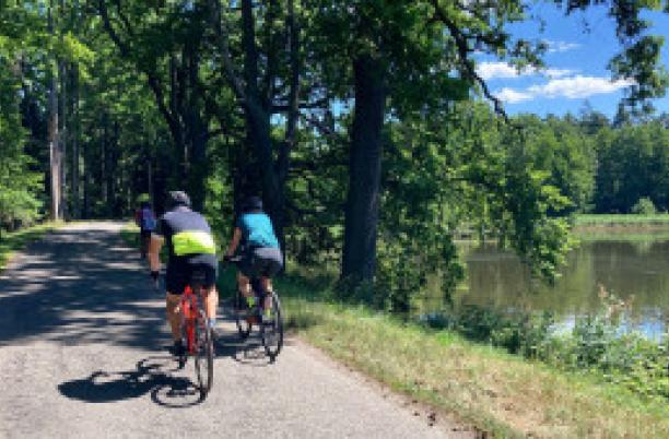 Cycle challenge