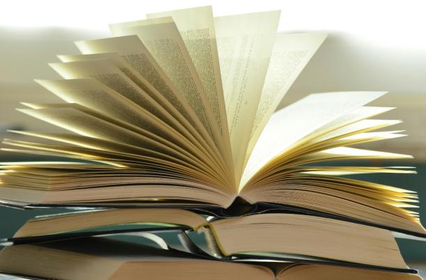 How the Royal Literary Fund has worked with hospices to bring inclusive, writer-facilitated round-table reading groups to hospice outpatients.