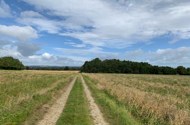 countryside