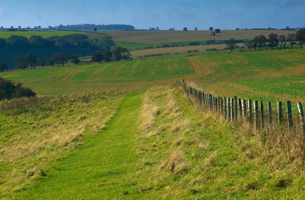 countryside