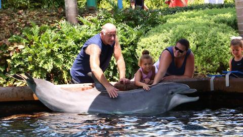 because Amelia knew the path and progress of her grandad’s disease – which play therapy gave her – she was calm, accepting, and resilient. And able to make those memories with her grandad in the final days and weeks of his life.”