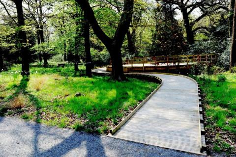 Tom Hoblyn's garden design for Haven House Children's Hospice