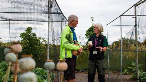 National Garden Scheme open gardens are a great chance for your garden volunteers to show off their work