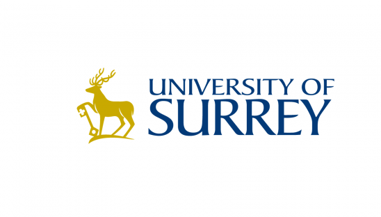 Reviewed by colleagues in the Living and Dying Well Research Group, University of Surrey