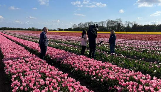 People professionally filming footage of the Tulips for Tapping event
