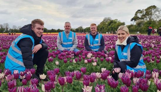 Tulips for Tapping volunteers