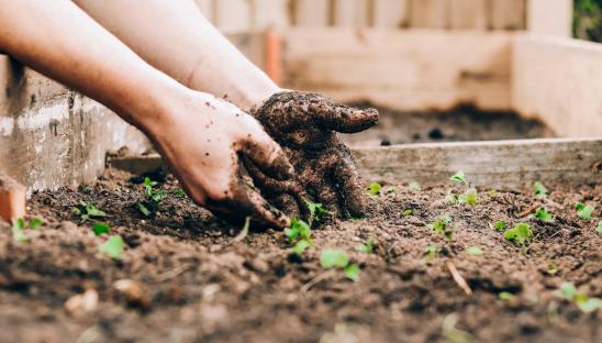 Learn how Martlets Hospice used gardening as a therapeutic bereavement service for men