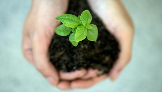 Why should hospices be sustainable?