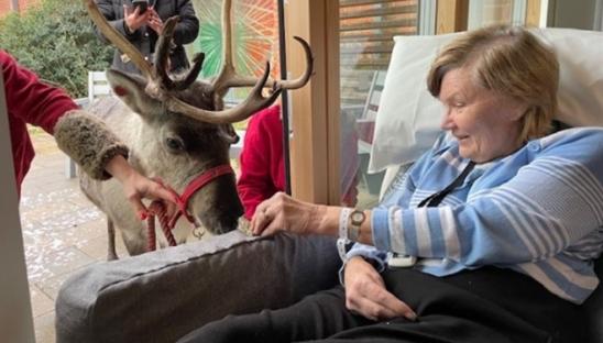 Picture of a patient with a reindeer